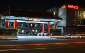 Sakura Inn (Adults Only)